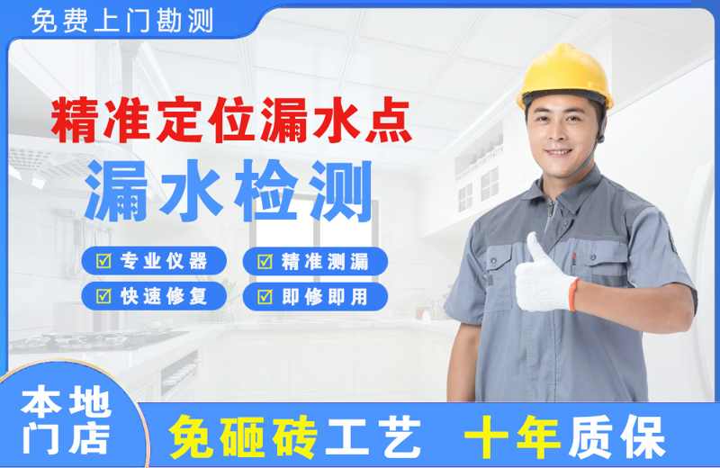 白马井精准测漏点